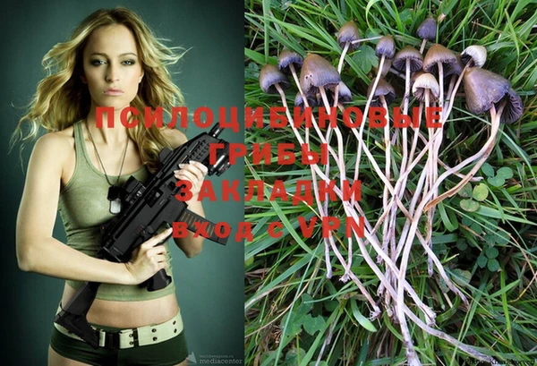 шишки Богданович