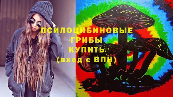 синтетический гашиш Богородск