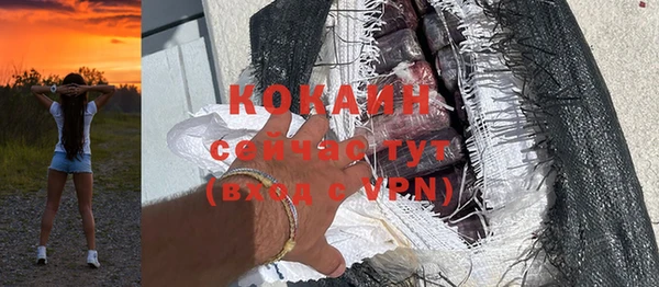 шишки Богданович