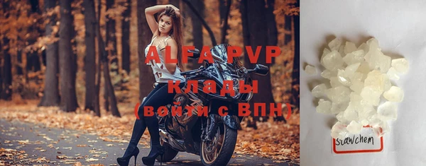 шишки Богданович