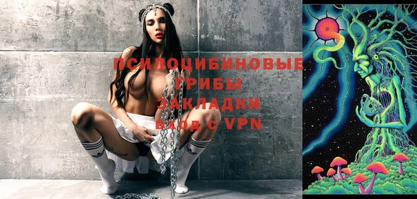 синтетический гашиш Богородск
