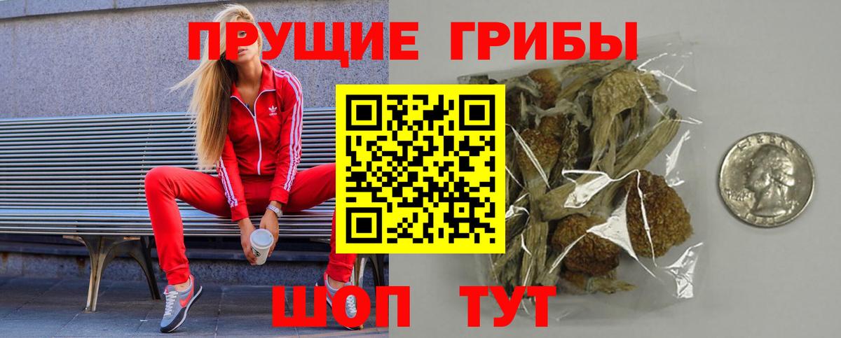 Галлюциногенные грибы GOLDEN TEACHER  Псилоцибиновые грибы мицелий  Вход с VPN  Среднеуральск 